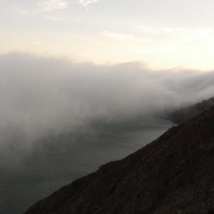 Meet your Posher, Robin